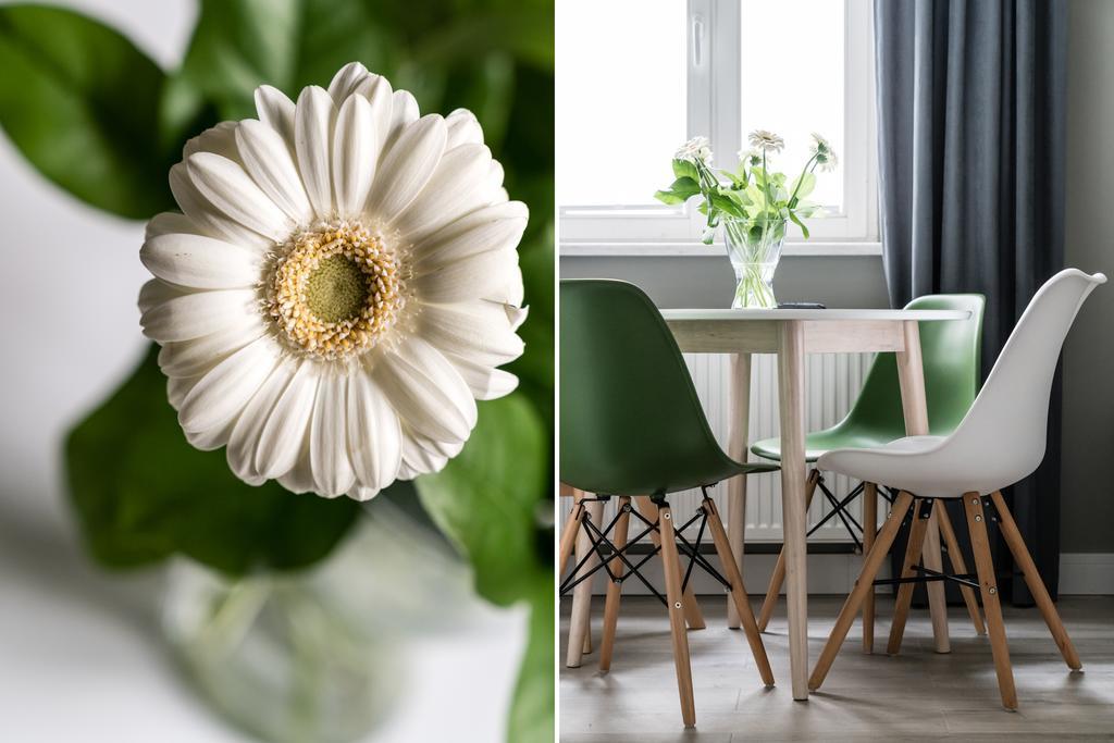 Sanhaus Apartments - Chopina 13 - Apartamenty W Centrum, 5 Minut Od Plazy I Deptaka Sopot Luaran gambar